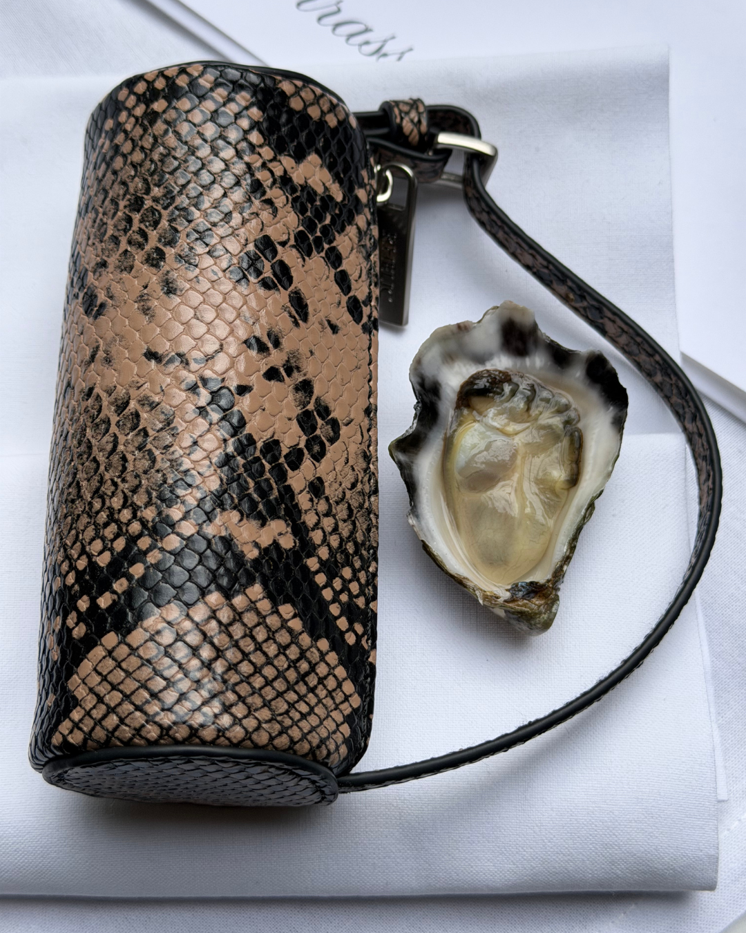 Pre-Order: The Fragment Desert Python