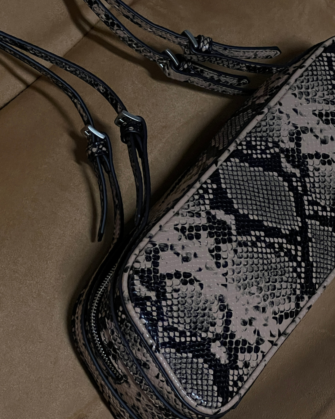 Pre-Order: The East/West Desert Python